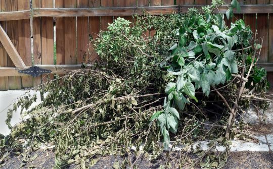 Gestion des "déchets" verts au jardin